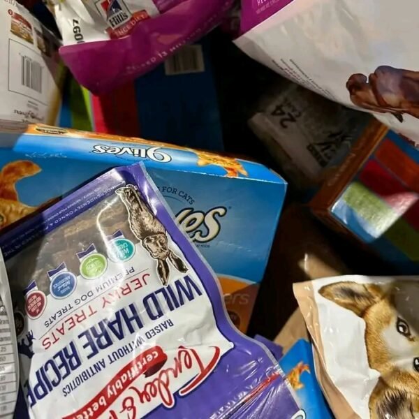 Dog and cat food - Image 2