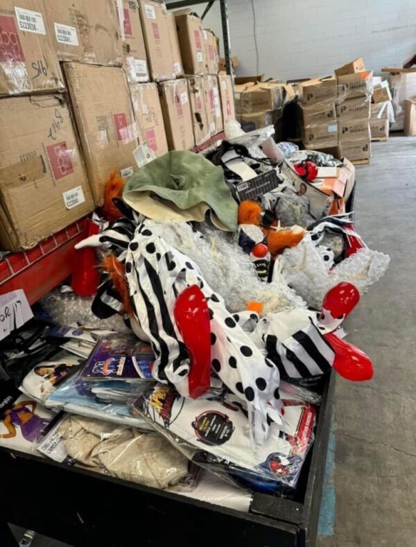 Halloween costumes: 250 pieces per pallet - Image 11